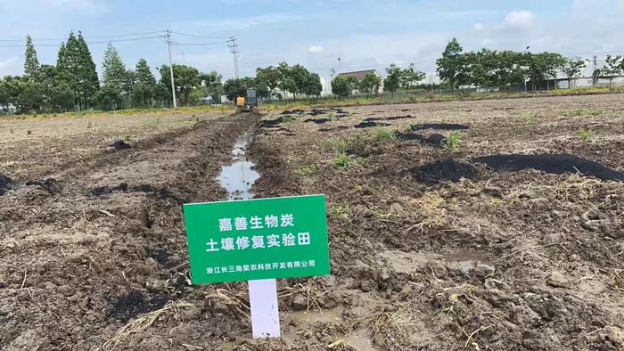 文章附图
